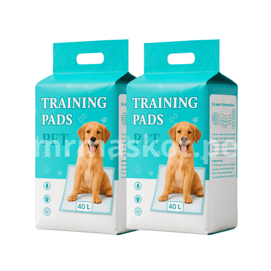 Pañal de piso Clásico - Talla L [80 unid.]