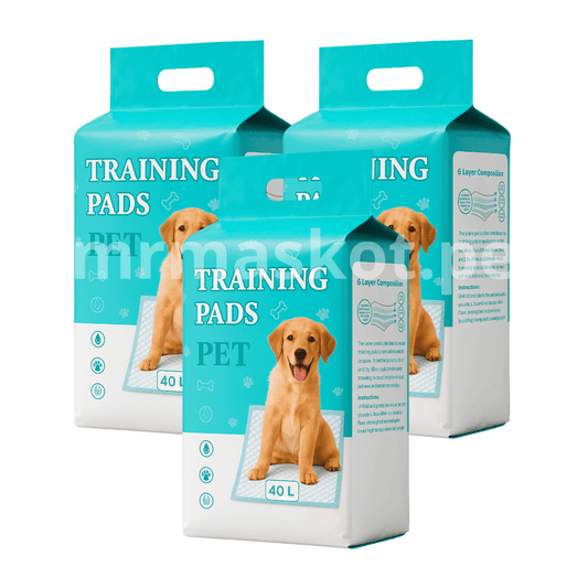 Pañal de piso Clásico - Talla L [120 unid.]